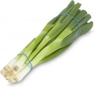 Fresh Spring Onion 青蔥