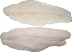 Pangasius Fish Fillets 魚塊