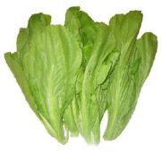 Fresh Mustard Green 新鮮芥菜 300g