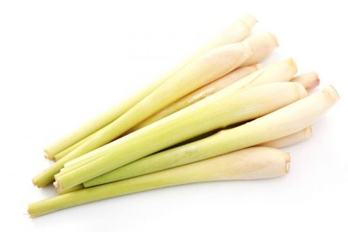 Click Here To Enlarge This Photo Of Fresh Lemon Grass 新鮮香茅