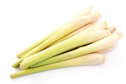Fresh Lemon Grass 新鮮香茅