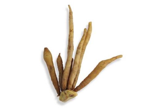 Click Here To Enlarge This Photo Of Fresh Thai Kra Chai