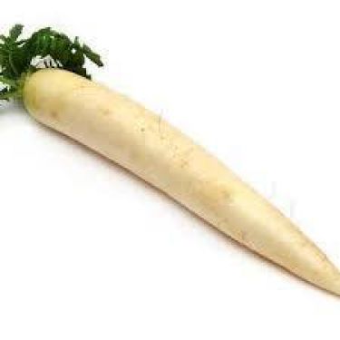 Click Here To Enlarge This Photo Of Fresh White Radish &lpar;Mooli&rpar; 新鮮白蘿蔔