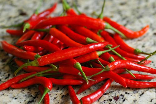 Click Here To Enlarge This Photo Of Fresh Red Thai Chili 新鮮紅辣椒