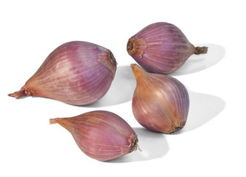 Click Here To Enlarge This Photo Of Fresh Shallots 乾葱