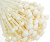Lily &lpar;Enoki&rpar; Mushroom 金针菇 200g